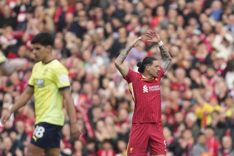 Darwin Nunez usai mencetak gol untuk Liverpool ke gawang Soton di laga Premier League 2024/2025 (c) AP Photo/Jon Super